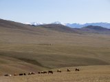 20190903-IMG 0944 : 2019, Mongolei, Mongolia