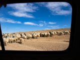 20190903-IMG 0972 : 2019, Mongolei, Mongolia