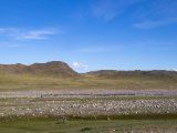 20190903-IMG 0999 : 2019, Mongolei, Mongolia