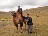 20190905-IMG 1190 : 2019, Mongolei, Mongolia