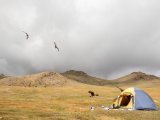 20190905-IMG 1287 : 2019, Mongolei, Mongolia