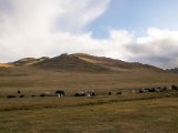 20190905-IMG 1372 : 2019, Mongolei, Mongolia