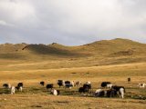 20190905-IMG 1382 : 2019, Mongolei, Mongolia
