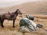 20190911-IMG 1684 : 2019, Mongolei, Mongolia