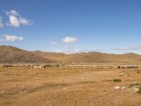 20190915-IMG 2045 : 2019, Mongolei, Mongolia