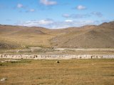 20190915-IMG 2048 : 2019, Mongolei, Mongolia