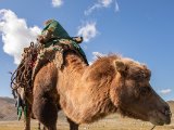 20190915-IMG 2053 : 2019, Mongolei, Mongolia