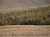 20190916-IMG 2170 : 2019, Mongolei, Mongolia