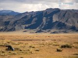20190916-IMG 2279 : 2019, Mongolei, Mongolia