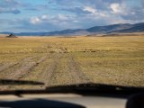 20190916-IMG 2400 : 2019, Mongolei, Mongolia