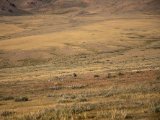 20190916-IMG 2413 : 2019, Mongolei, Mongolia