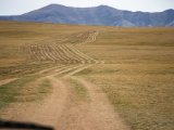 20190917-IMG 2504 : 2019, Mongolei, Mongolia