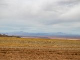 20190917-IMG 2541 : 2019, Mongolei, Mongolia