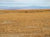 20190917-IMG 2548 : 2019, Mongolei, Mongolia