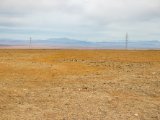 20190917-IMG 2551 : 2019, Mongolei, Mongolia