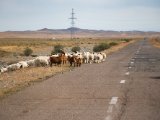 20190917-IMG 2588 : 2019, Mongolei, Mongolia