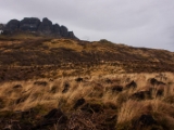 IMG 7681 : Isle of Skye, Scotland, Trotternish