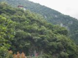 20120822-IMG 7938 : 2012, Taiwan, Taroko Gorge